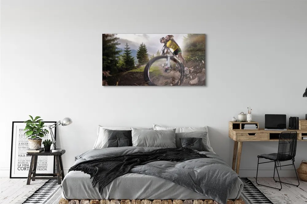 Obraz plexi Cloud na horskom bicykli 125x50 cm