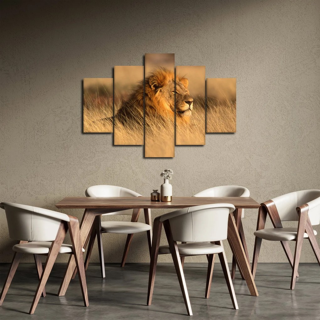 Obraz - Národný park Etosha (150x105 cm)