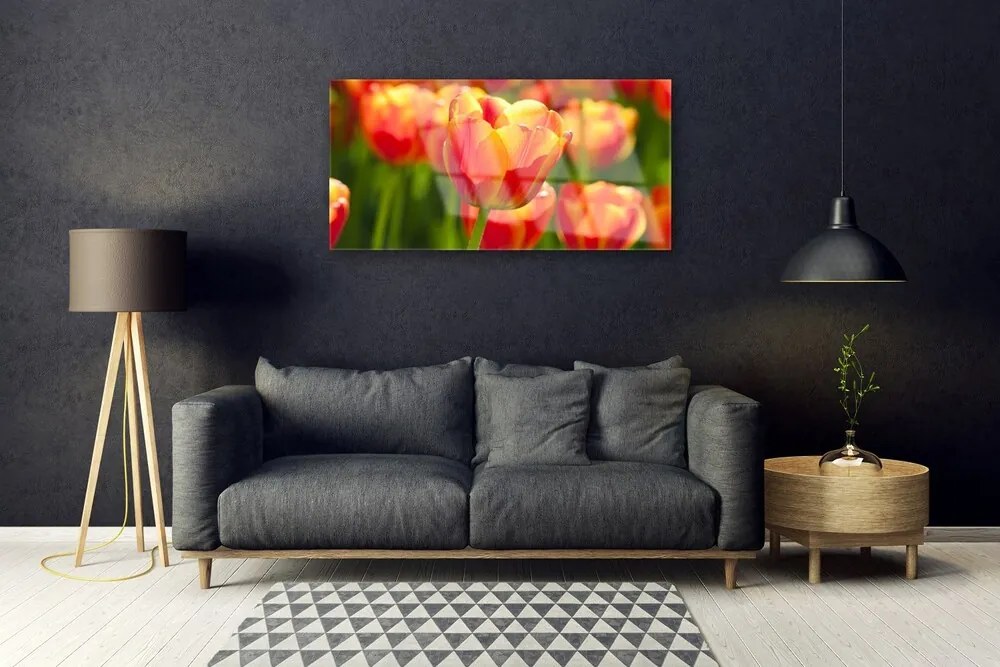 Skleneny obraz Tulipány kvety rastlina 100x50 cm 2 Prívesky