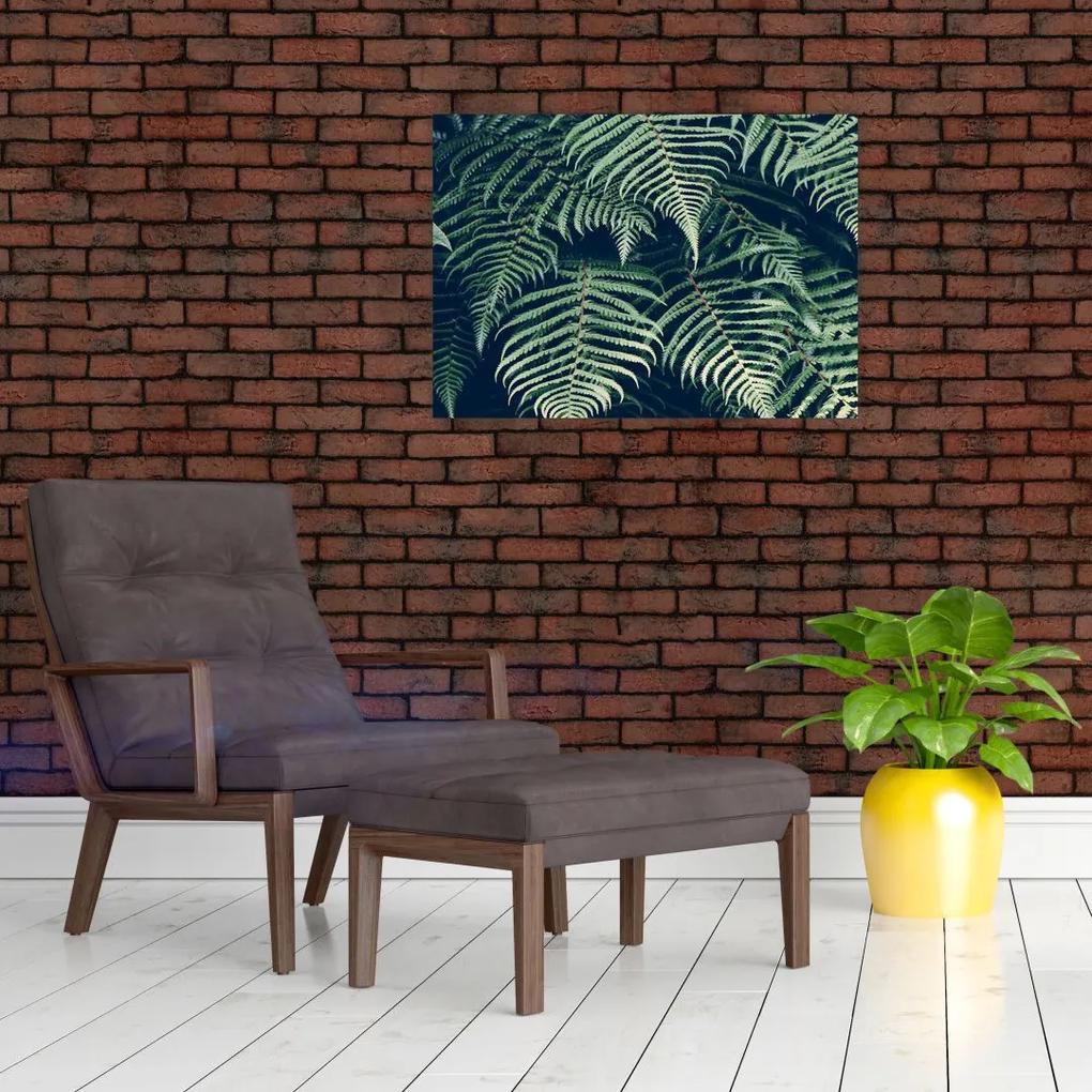 Sklenený obraz listov papradí (70x50 cm)