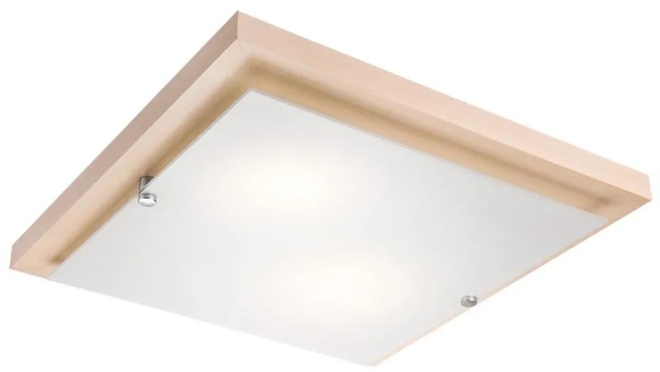 LED stropné svietidlo 1xLED/24W/230V buk