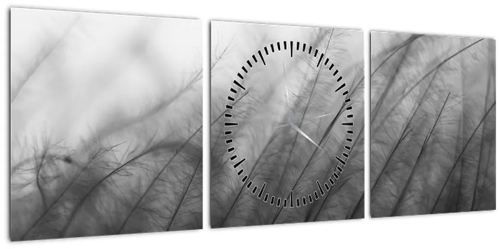 Obraz - Tráva vo vetre (s hodinami) (90x30 cm)