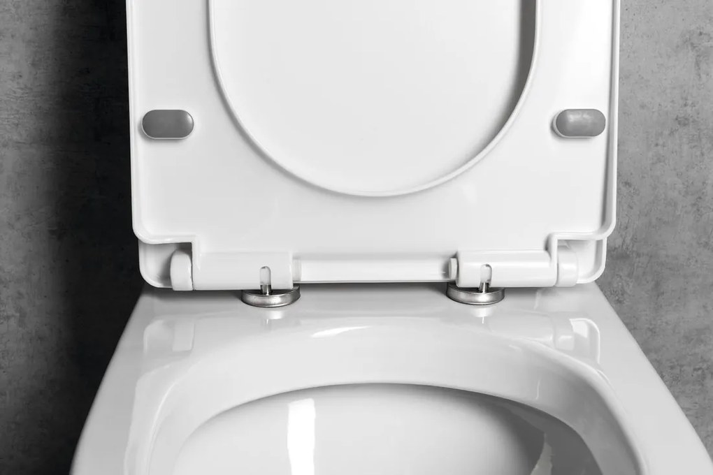 Aqualine Aqualine, VERMET WC sedátko, Soft Close, biela, VRS008