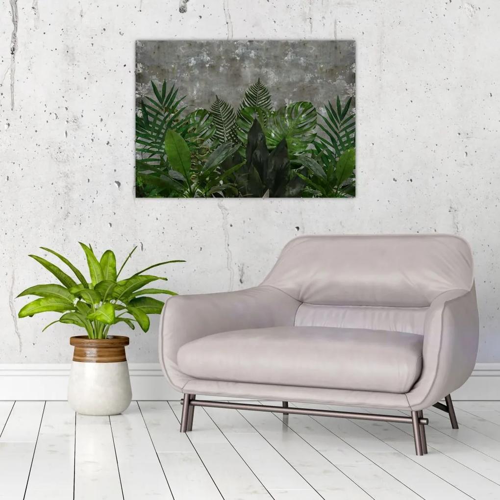 Sklenený obraz - Betónový múr s rastlinami (70x50 cm)