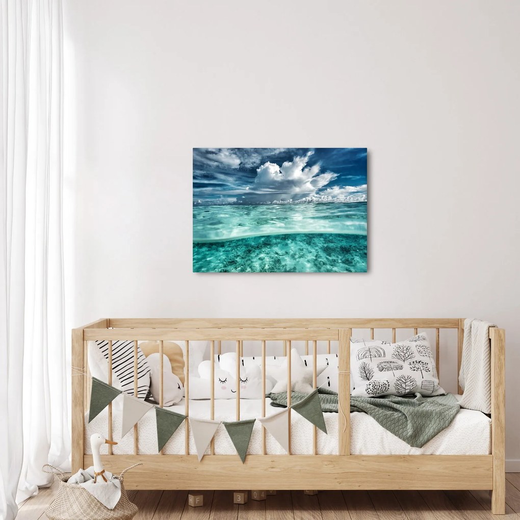 Obraz - Pohľad pod morskú hladinu (70x50 cm)