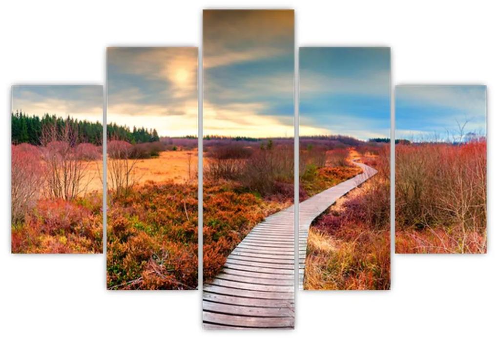 Obraz - Jesenná cesta krajinou (150x105 cm)