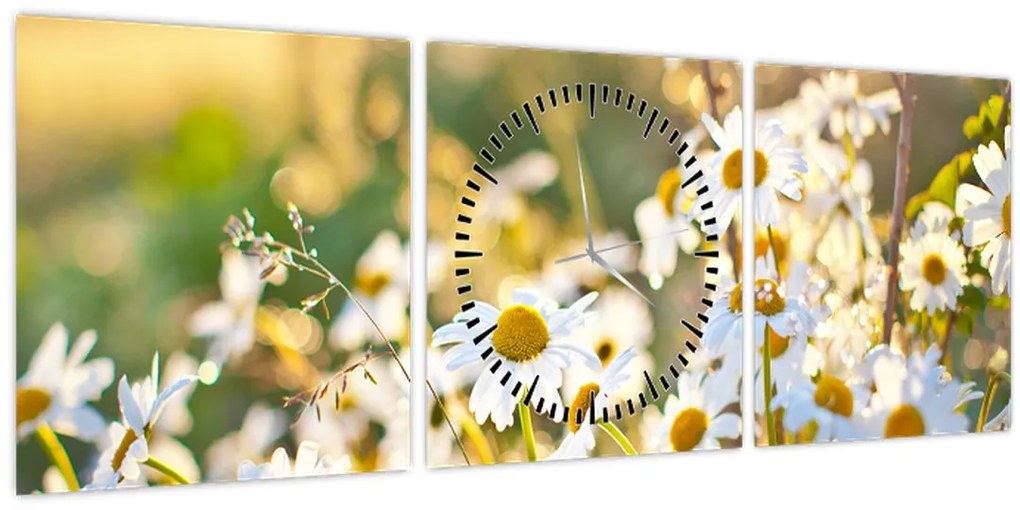 Obraz - Margaréta (s hodinami) (90x30 cm)