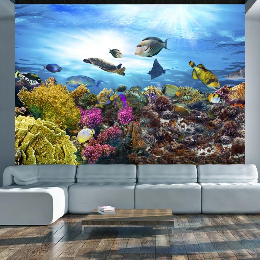 Artgeist Fototapeta - Coral reef Veľkosť: 100x70, Verzia: Standard