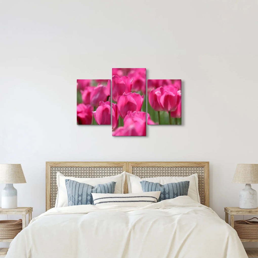 Obraz - Ružové tulipány (90x60 cm)