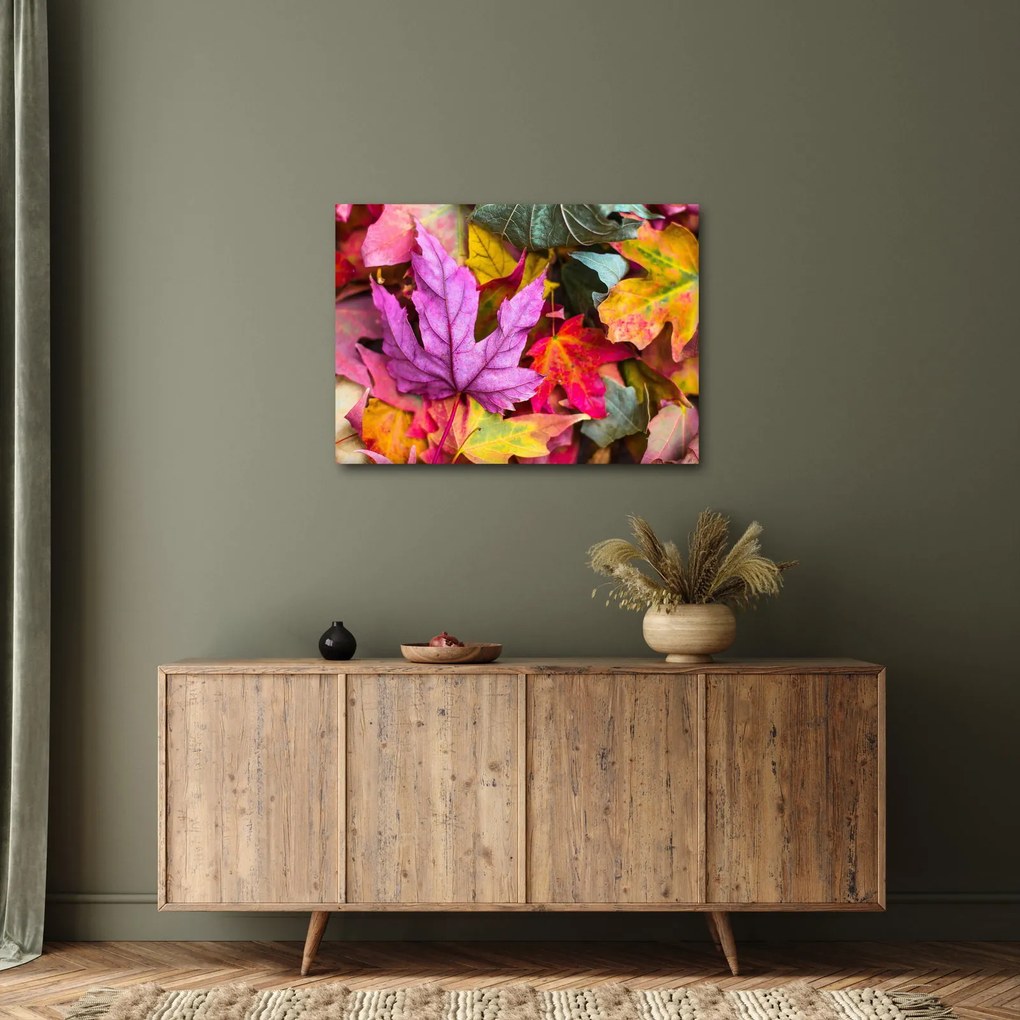 Obraz - jesenné listy (70x50 cm)
