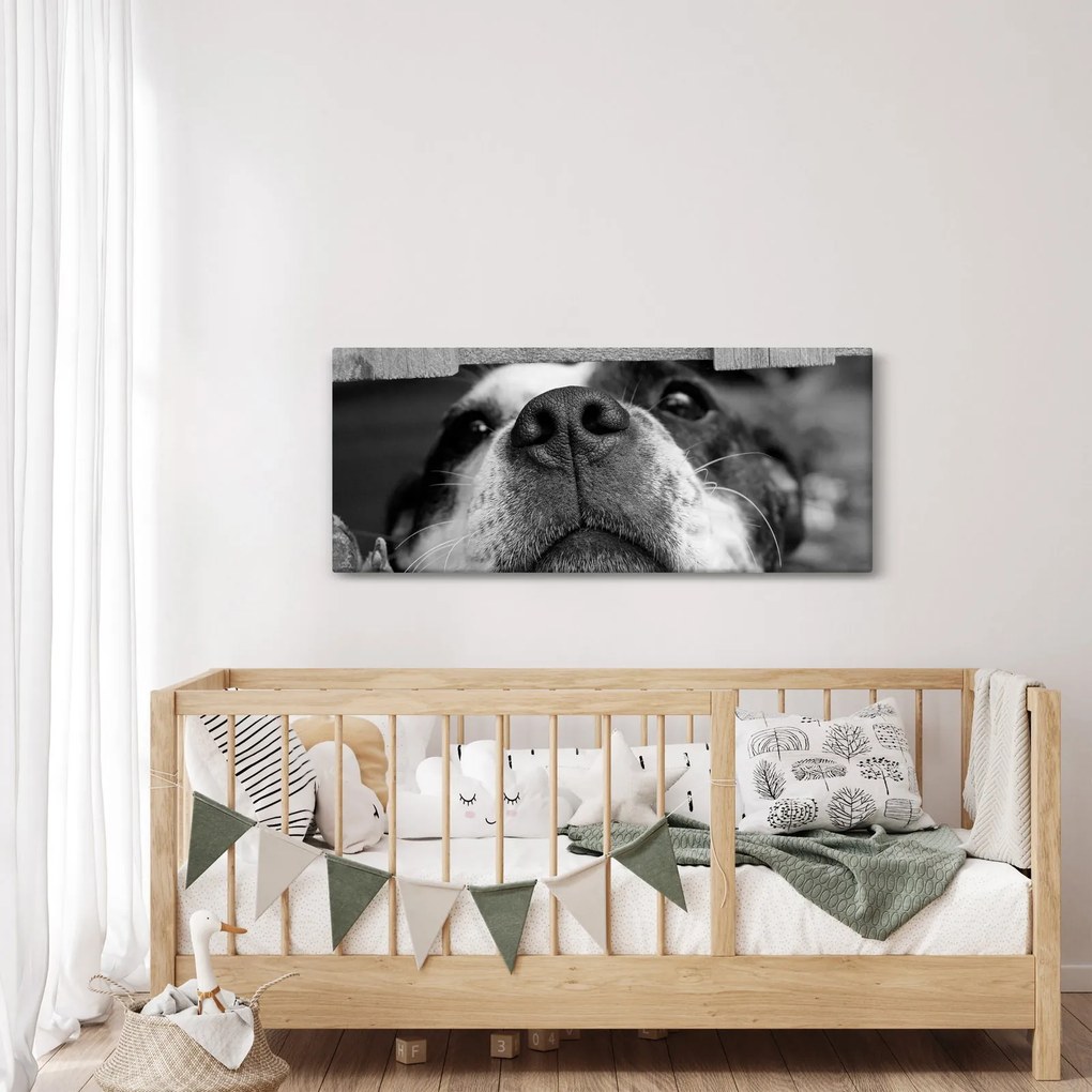 Obraz psa (120x50 cm)
