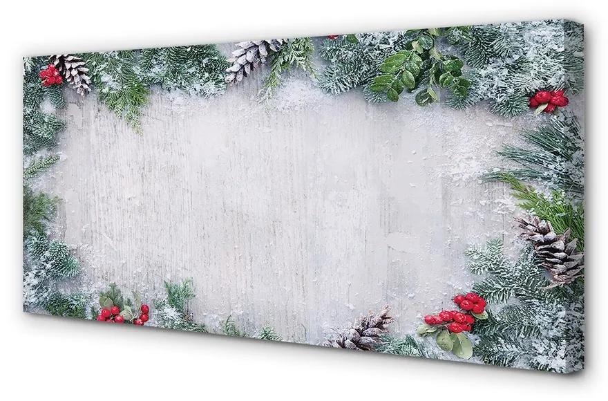 Obraz na plátne Snehové šišky, vetvičky 100x50 cm