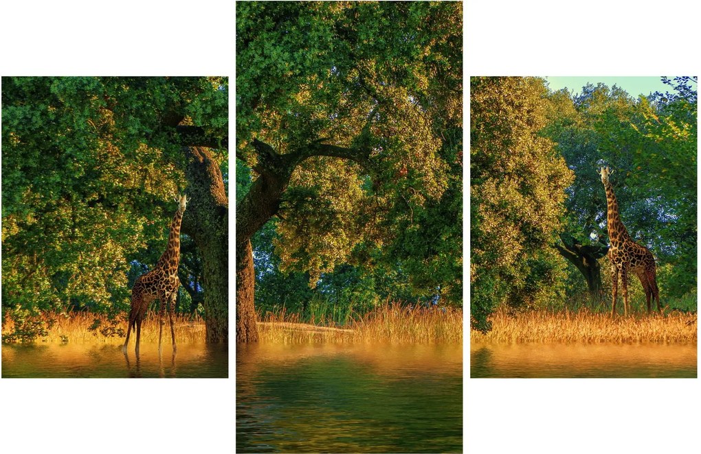 Obraz žirafy v prírode (90x60 cm)