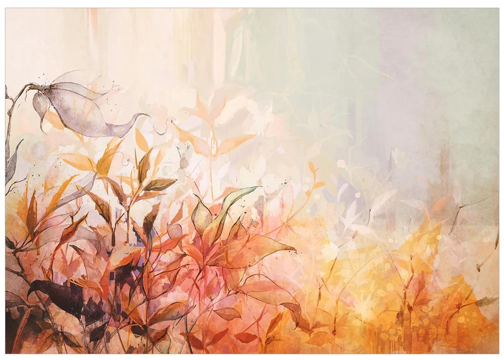 Artgeist Fototapeta - Flaming Meadow - First Variant Veľkosť: 98x70, Verzia: Samolepiaca