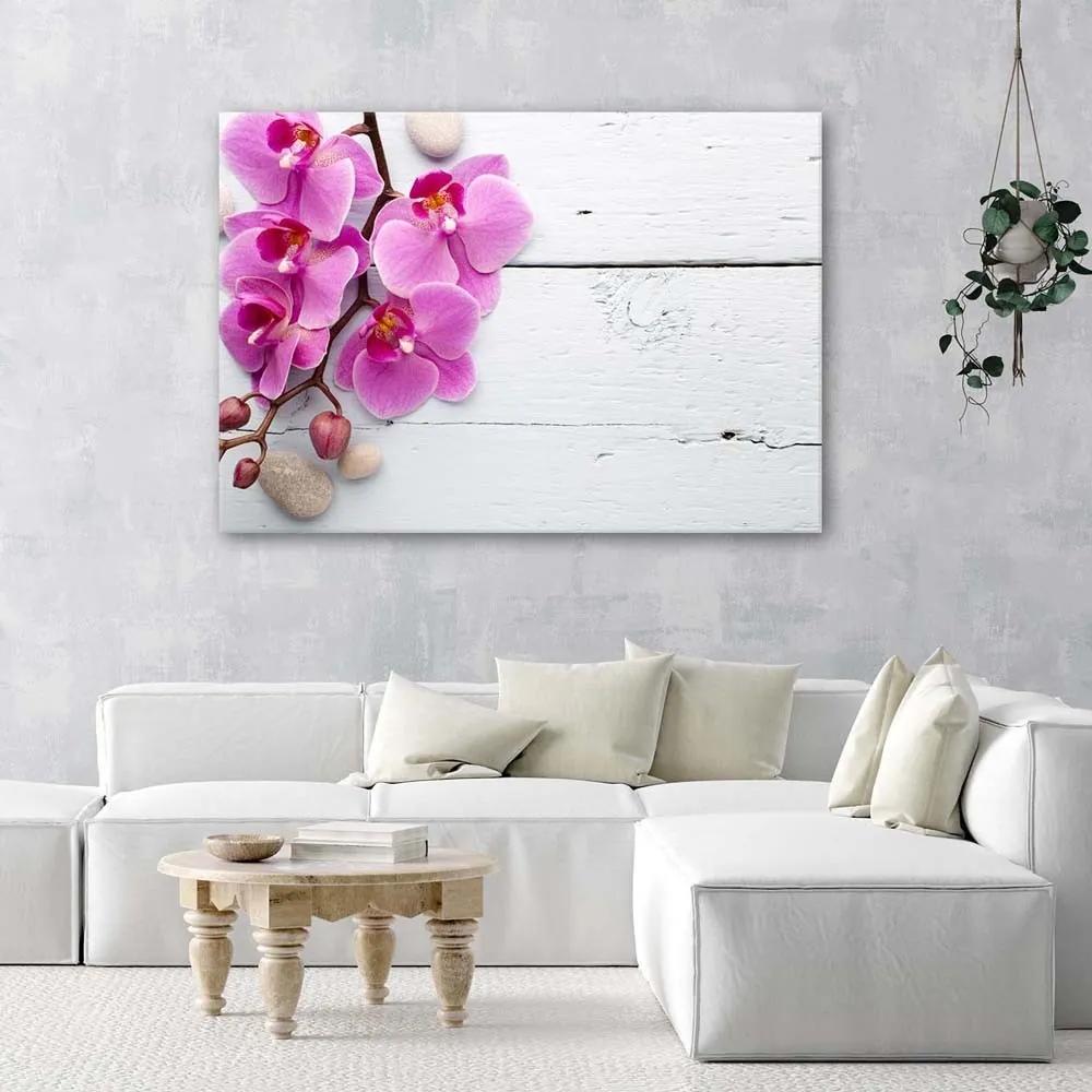 Obraz na plátně Růžové orchideje Květina - 120x80 cm