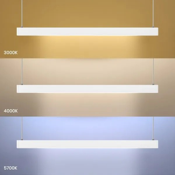 LED Luster na lanku LINEA LED/36W/230V 3000/4000/5700K CRI 90 biela