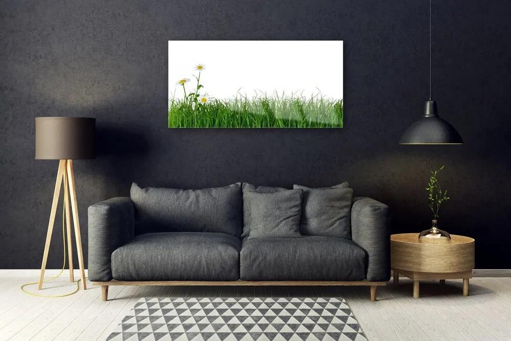 Obraz na skle Burina príroda rastlina 100x50 cm