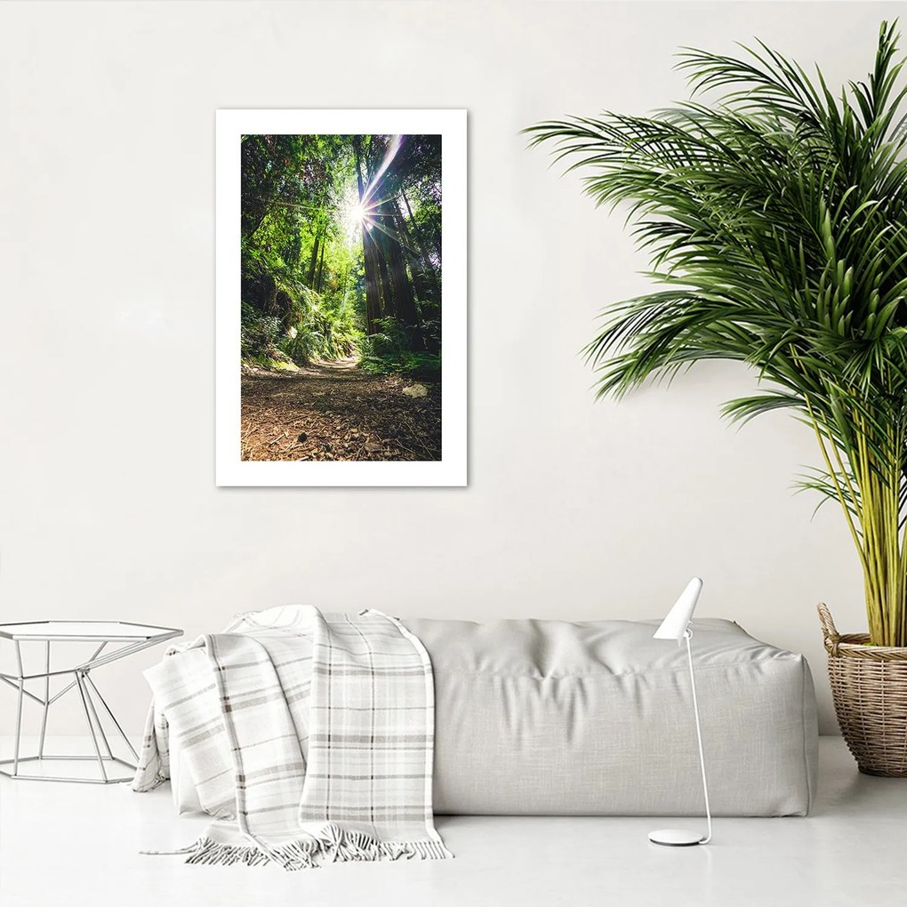 Gario Plagát Cesta v hustom lese Farba rámu: Bez rámu, Rozmery: 30 x 45 cm