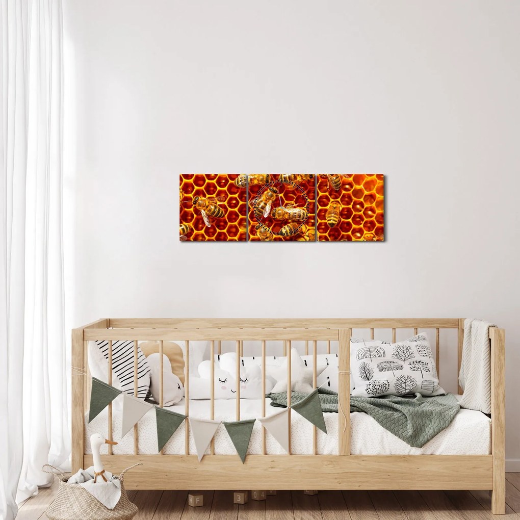 Obraz - Medový plást (s hodinami) (90x30 cm)