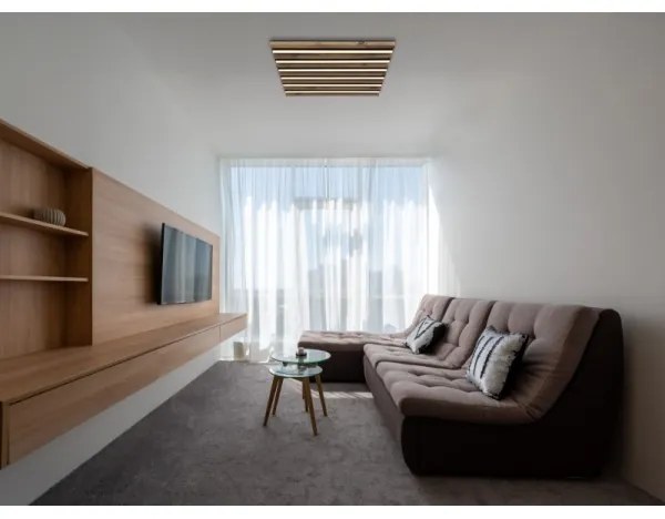 Globo 67347D2 - LED stropné svietidlo HAYDEN LED/30W/230V 3000K 45x45 cm