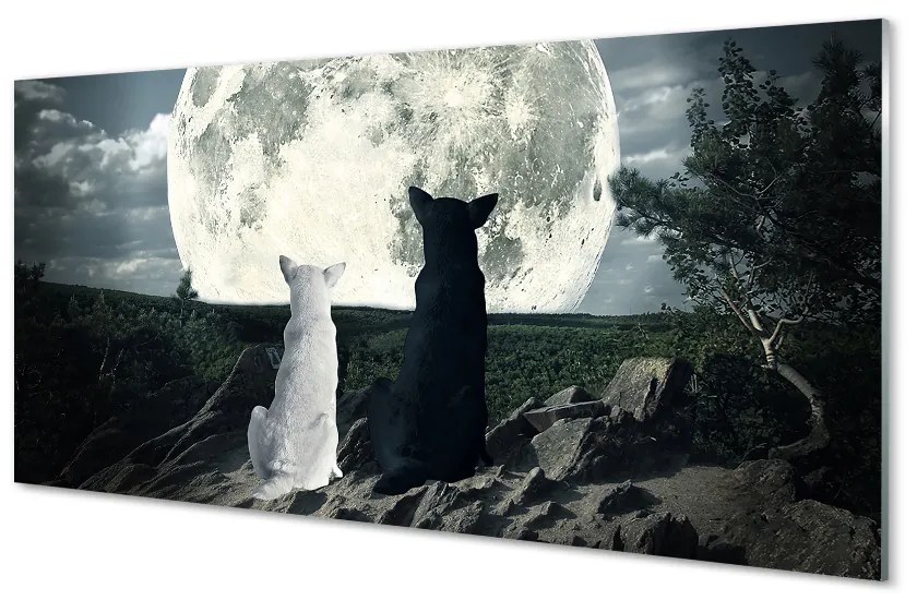 Nástenný panel  Wolves mesiac lesné 120x60 cm