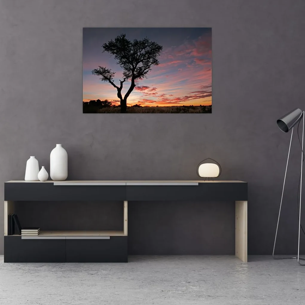 Obraz - Strom a červánky (90x60 cm)