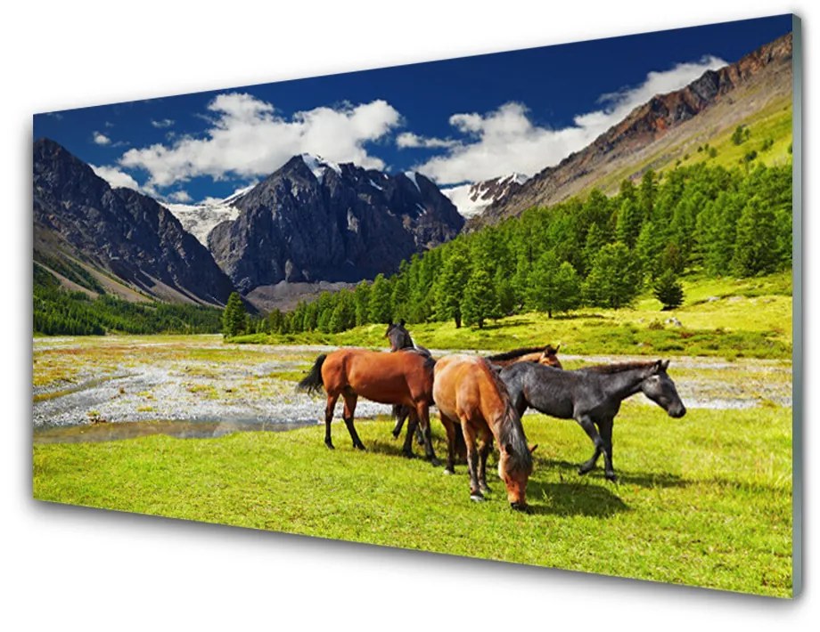 Skleneny obraz Hory stromy kone zvieratá 120x60 cm