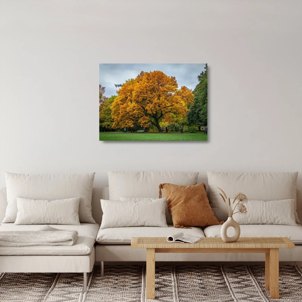 Sklenený obraz stromu (70x50 cm)