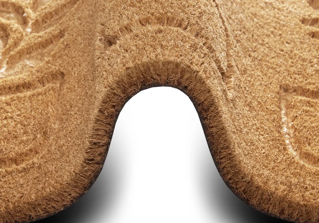 Hanse Home, Rohožka Rastliny 105562 - na von aj na doma, 45x75, hnedá, chodba / predsieň