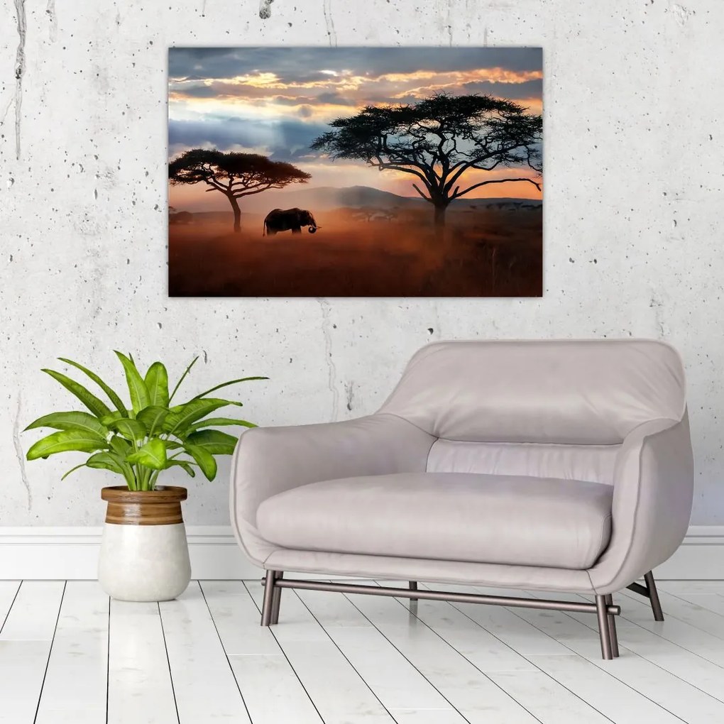 Obraz - Národný park Serengeti, Tanzánia, Afrika (90x60 cm)