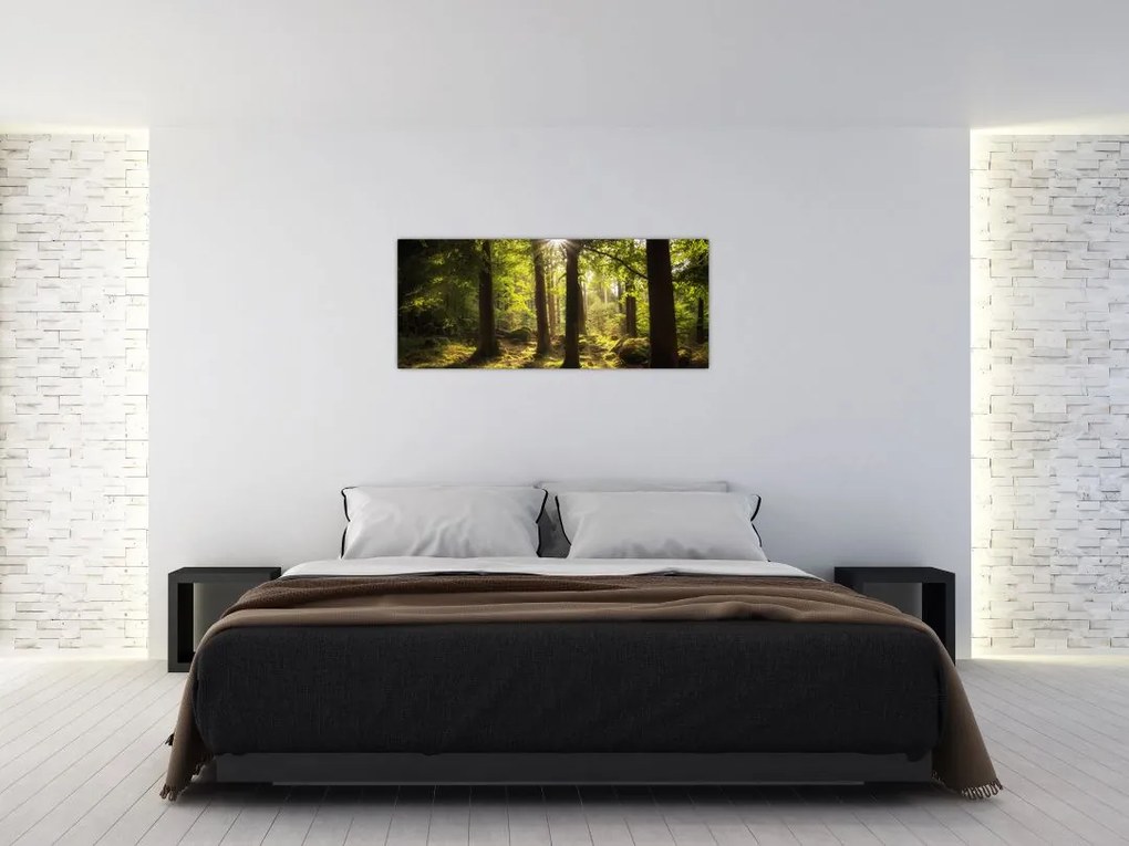 Obraz snového lesa (120x50 cm)