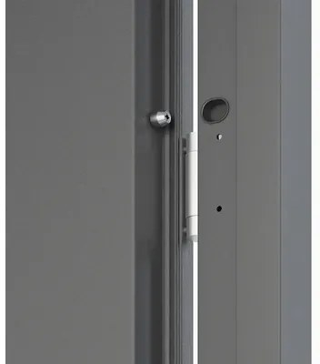 Kovové vchodové dvere S68 Ariadna 80 Ľ antracit