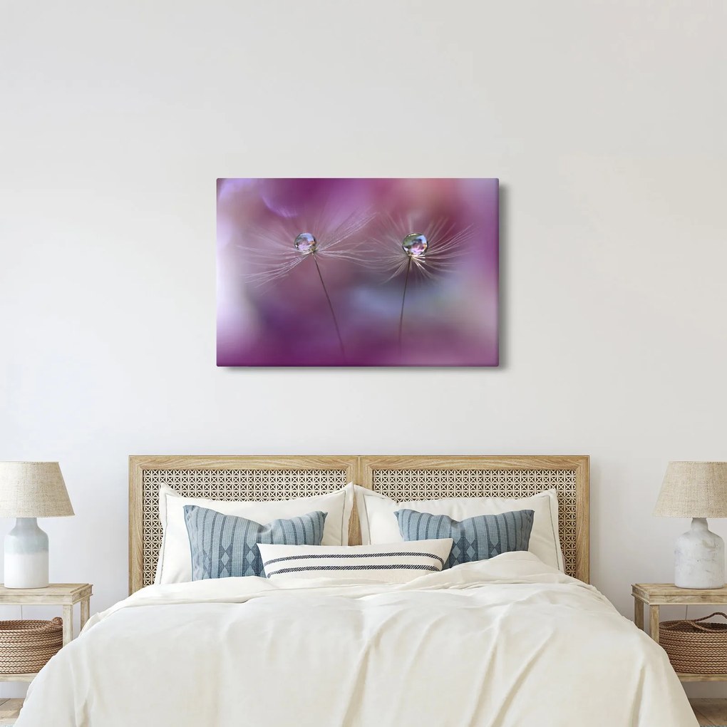 Obraz kvapôčok na páperí (90x60 cm)