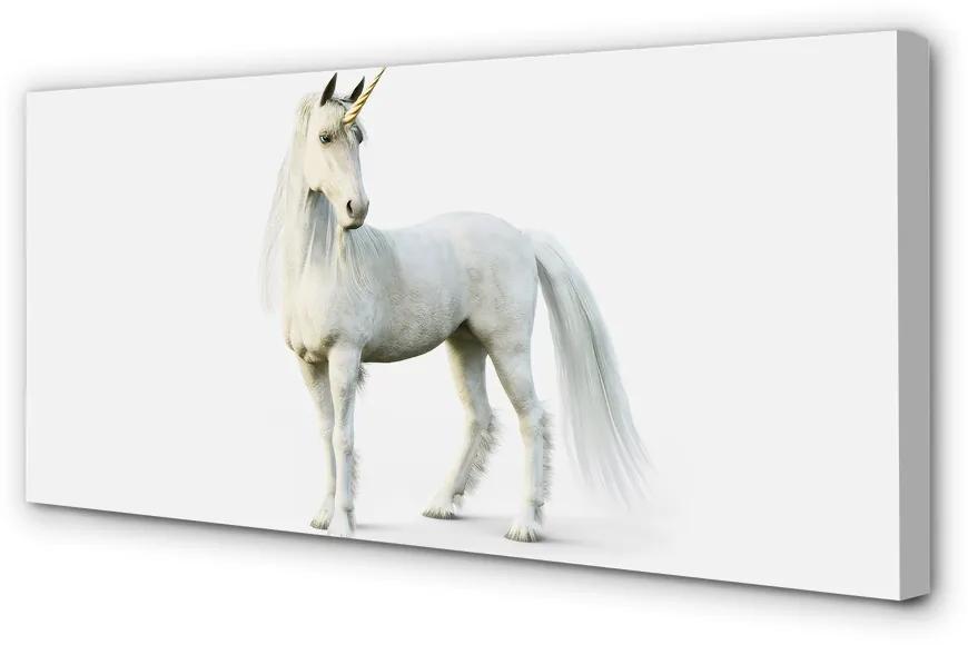 Obraz na plátne biely jednorožec 100x50 cm