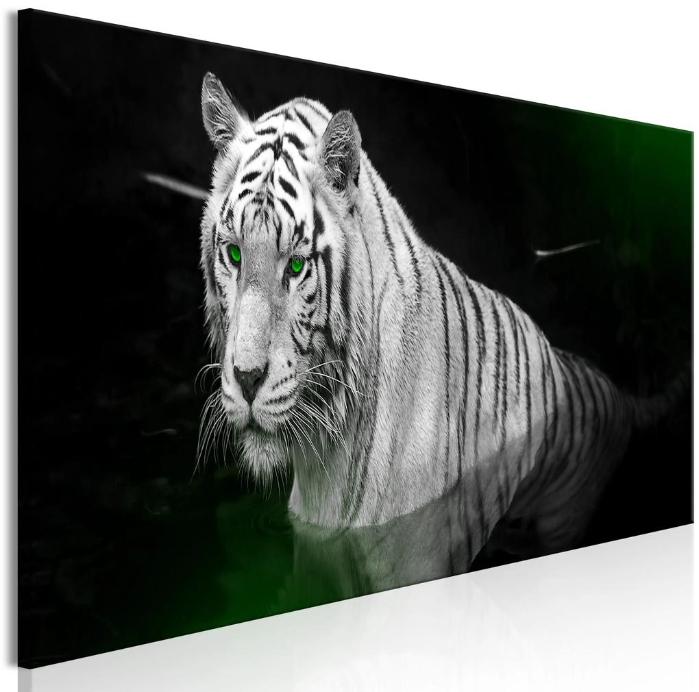 Artgeist Obraz - Shining Tiger (1 Part) Green Narrow Veľkosť: 120x40, Verzia: Premium Print