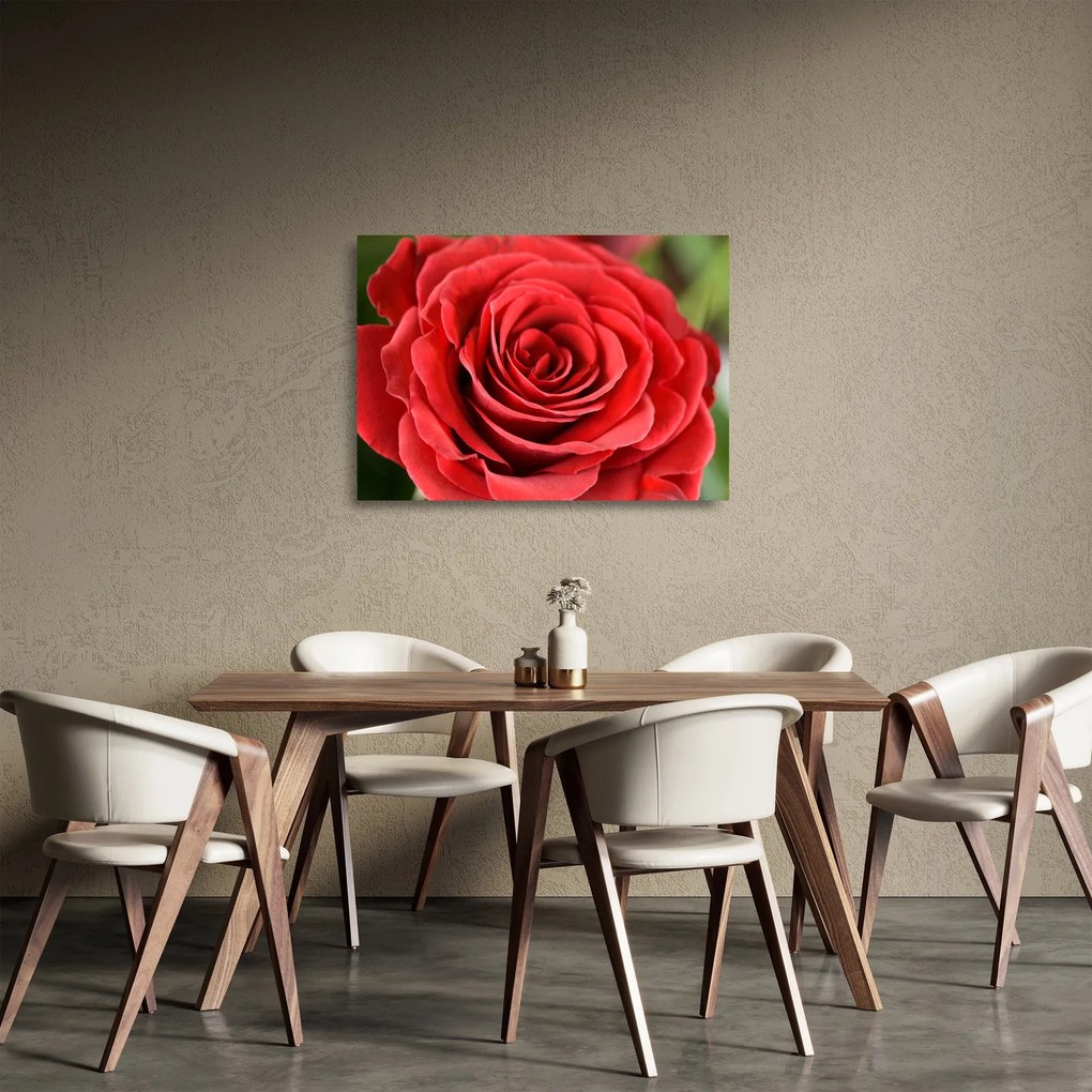 Sklenený obraz kvetu ruže (70x50 cm)