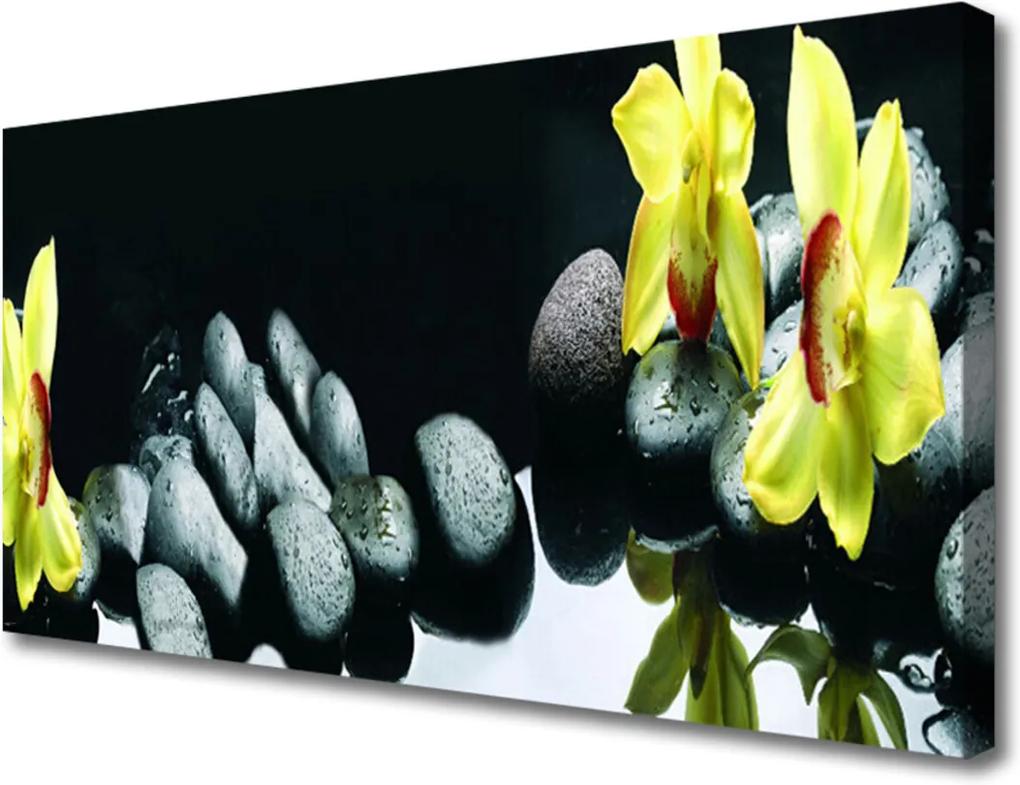 Obraz na plátně Sklenený Kvet Kamene