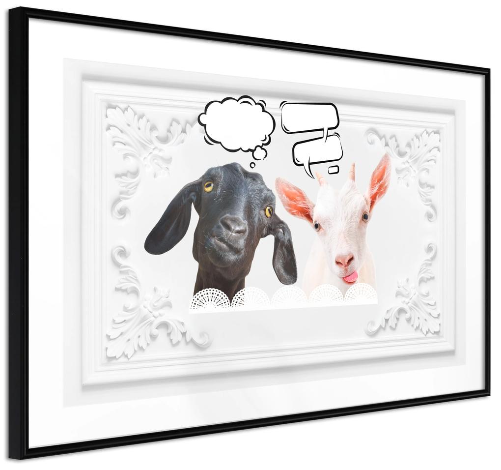 Artgeist Plagát - Funny Goats [Poster] Veľkosť: 90x60, Verzia: Zlatý rám s passe-partout