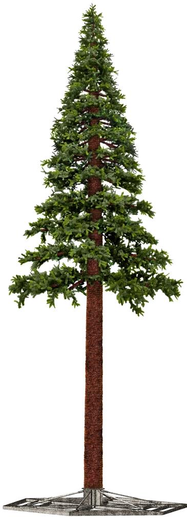 Vianočný stromček Borovica do exteriéru 580cm