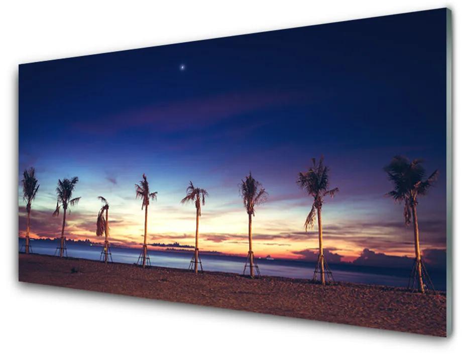 Obraz na akrylátovom skle Palma strom more krajina 100x50cm