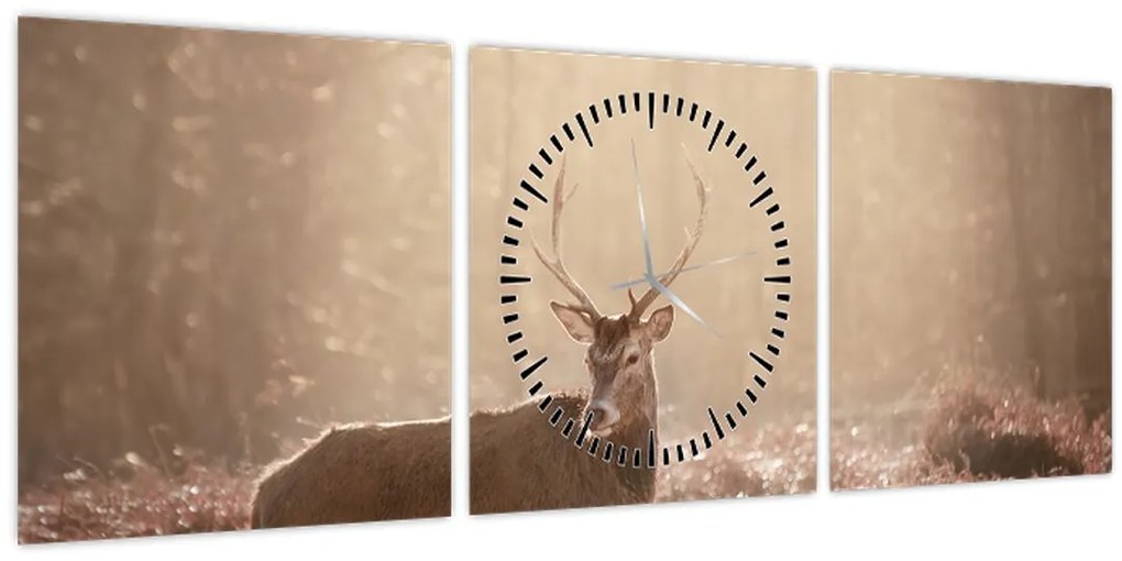 Obraz - Jeleň v lese (s hodinami) (90x30 cm)