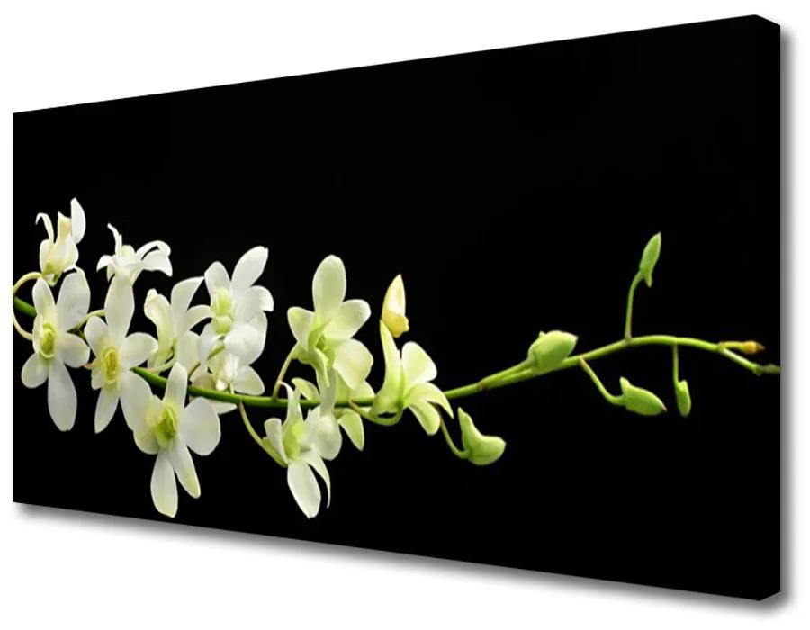 Obraz na plátne Kvety rastlina príroda 120x60 cm