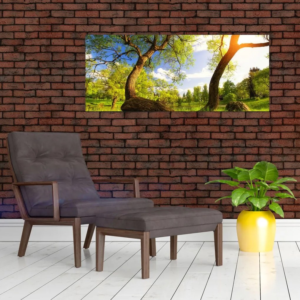 Obraz jarnej lúky (120x50 cm)