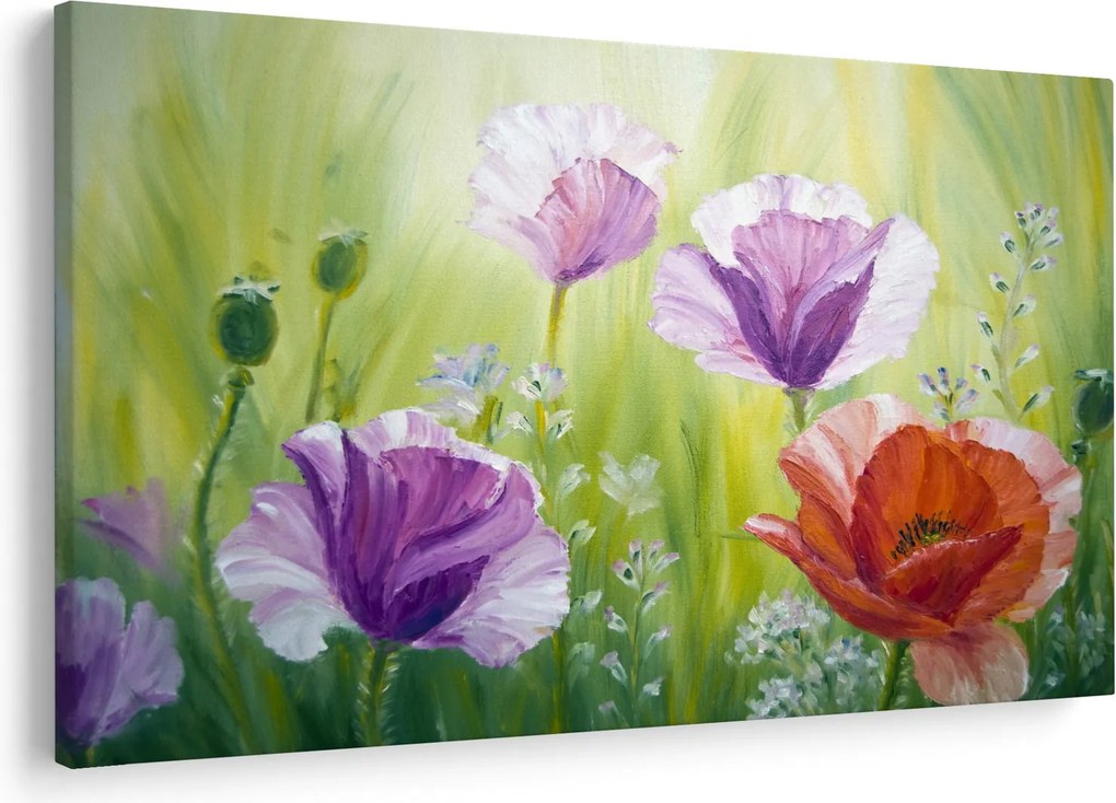 Obraz - Vlčie maky (90x60 cm)