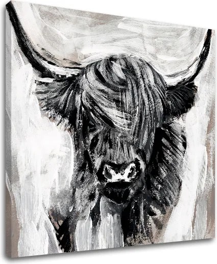Obraz na plátne BÝK 001 60x60 cm