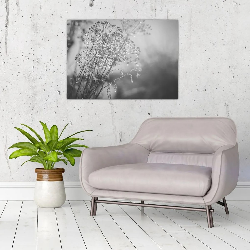 Obraz - Lúka po daždi (70x50 cm)