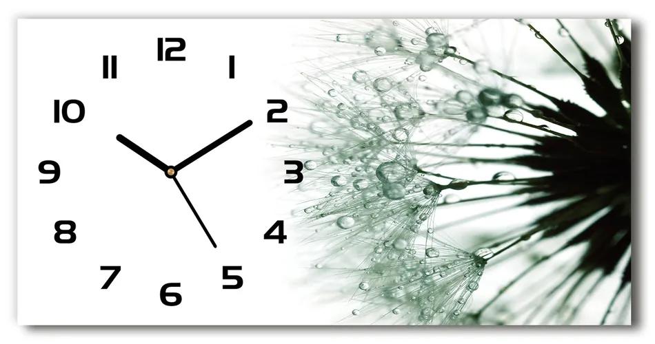 Vodorovné Sklenené hodiny na stenu Semená púpavy pl_zsp_60x30_f_92835927