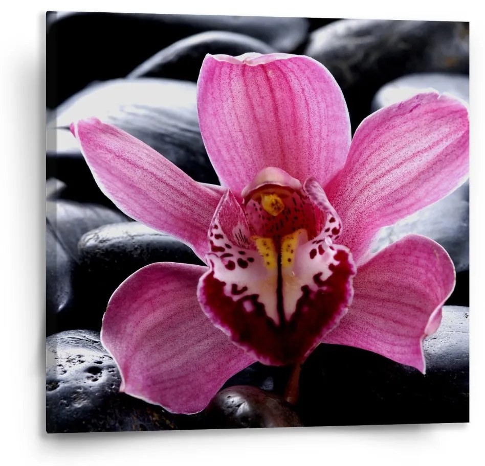 Sablio Obraz Ružová orchidea - 110x110 cm