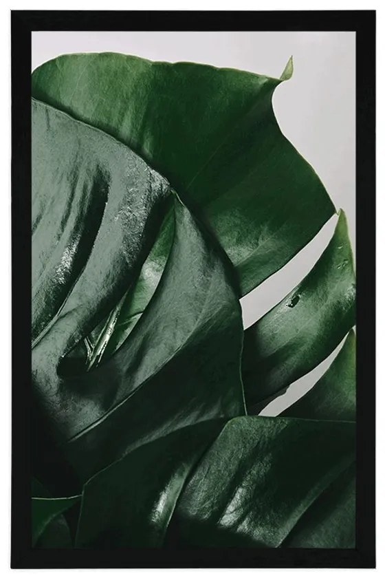 Plagát listy monstery - 20x30 silver