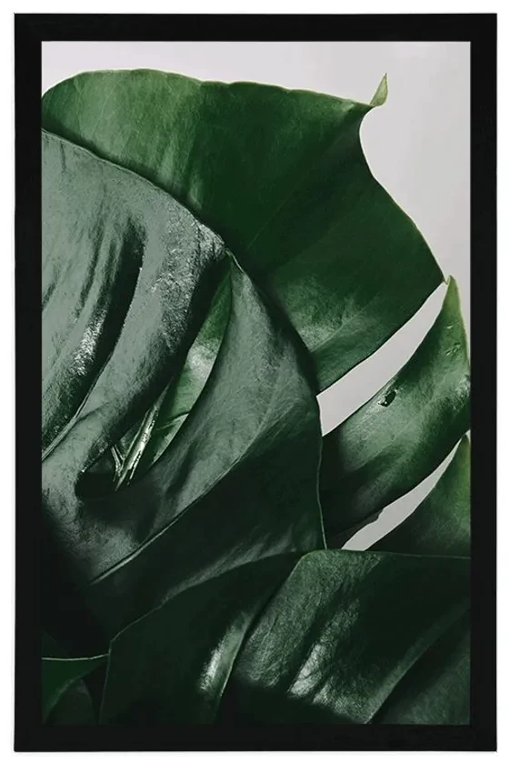 Plagát listy monstery - 60x90 black